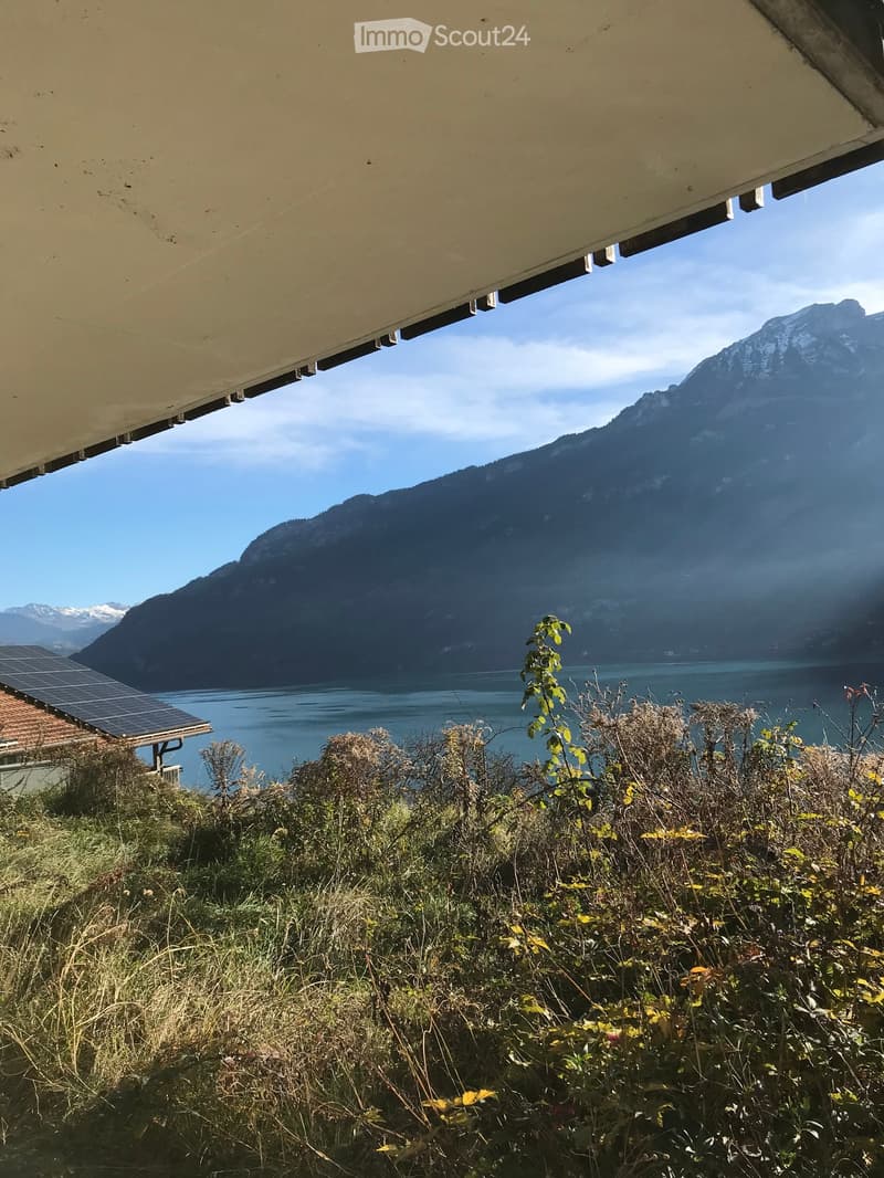 View from a balcony or terrace overlooking a lake and mountain range, with solar panels on a nearby roof and some overgrown vegetation in the foreground.