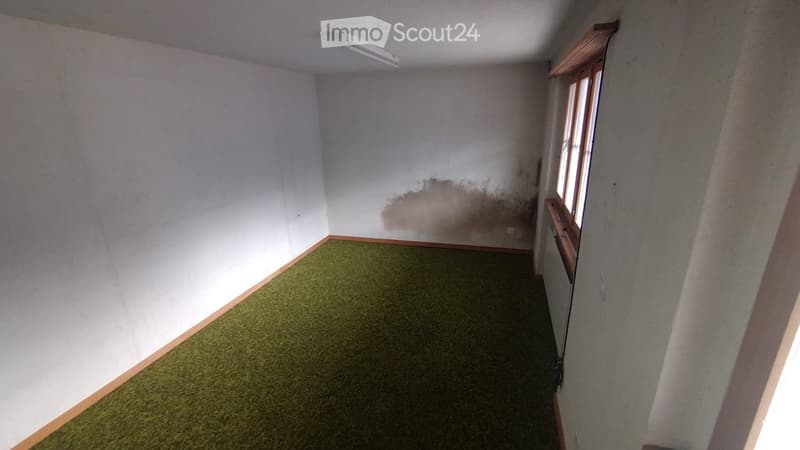 Empty room with green carpet, white walls, and a window with wooden frame. No furniture or equipment present.