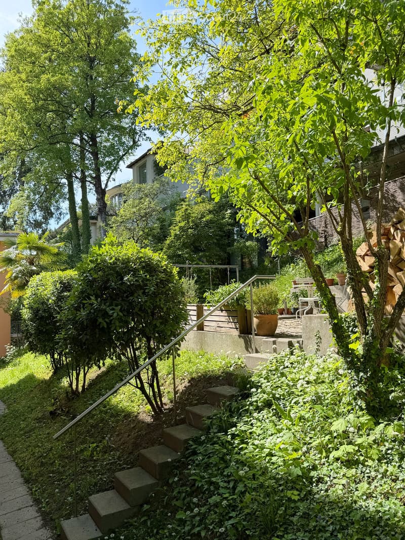 Lush garden with various trees, shrubs, and a staircase leading up to a patio area with outdoor furniture.
