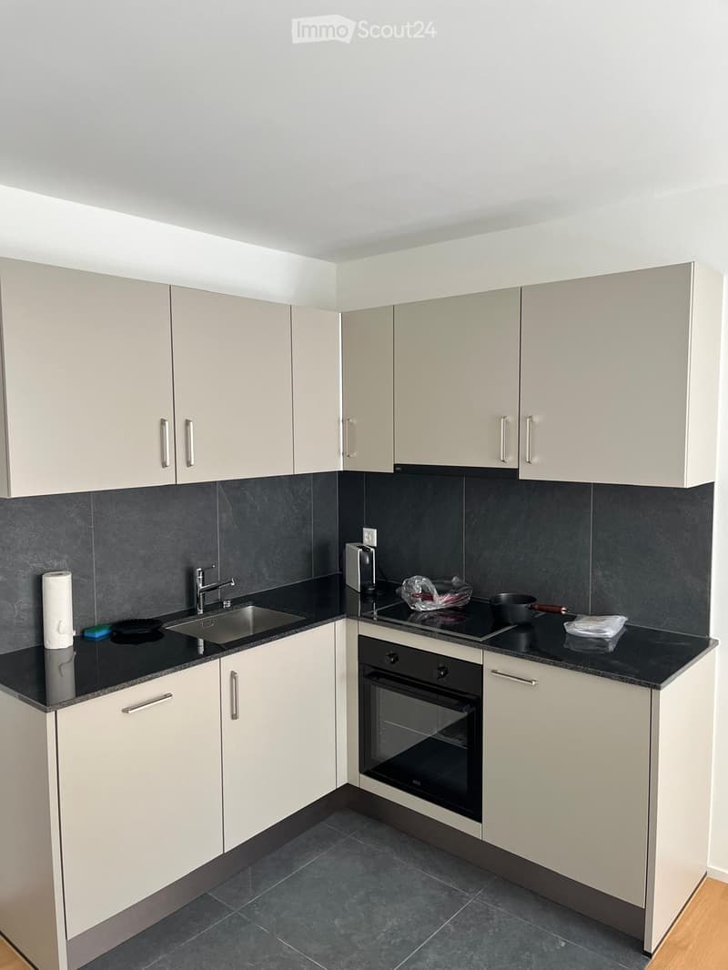 Modern kitchen with light grey cabinets, black countertops, stainless steel sink, and built-in oven and stove. Includes a toaster and a pot on the stove.