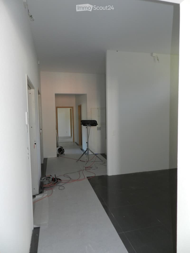 Appartamento luminoso 4,5 locali con 133m2, tutto il comfort più balcone di 51m2 (14)