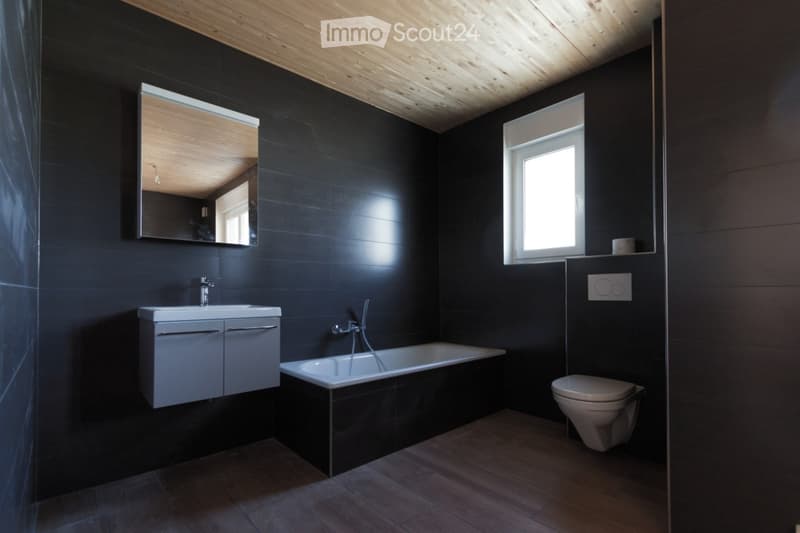 Modern bathroom with dark tiled walls, a wooden ceiling, a large mirror, a sink with a cabinet, a bathtub, and a toilet.