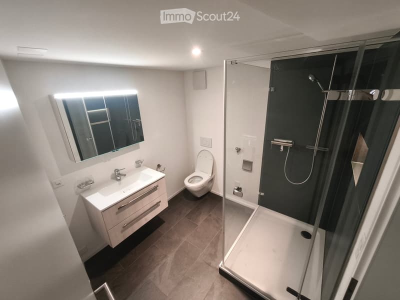 Modern bathroom with a white sink, toilet, large mirror, and a glass-enclosed shower with black tiles.