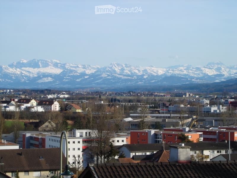 Panoramic view of a cityscape with residential and commercial buildings, surrounded by trees and mountains in the background.