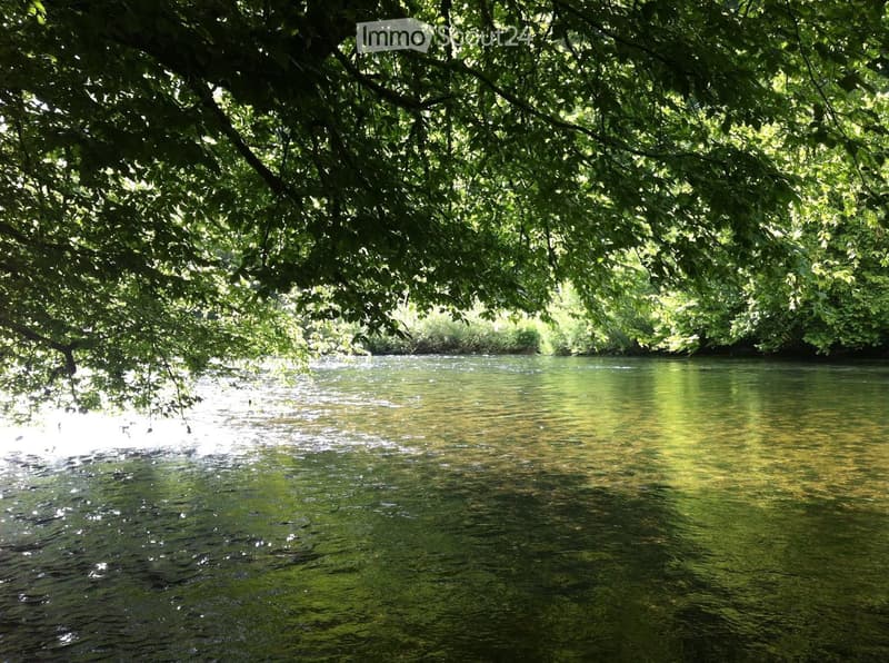 A serene river flows under a canopy of lush green trees, creating a tranquil natural setting.