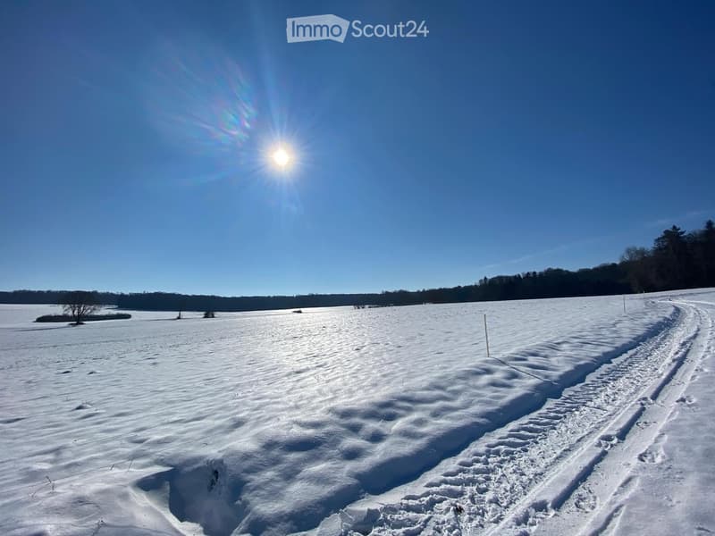 A wide, snow-covered field with a clear blue sky and sun shining brightly. Tracks in the snow indicate recent activity, and a few trees are visible in the distance.