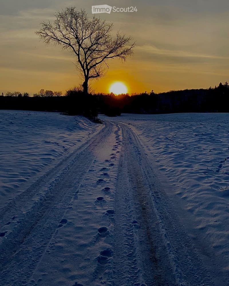 A serene winter landscape with a snow-covered field, a single leafless tree, and a setting sun casting a warm glow over the horizon.