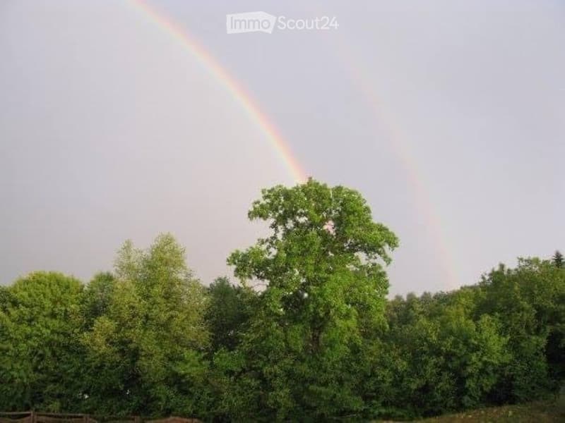 A lush green forest with a prominent rainbow arching across the sky, surrounded by tall trees and a wooden fence in the foreground.