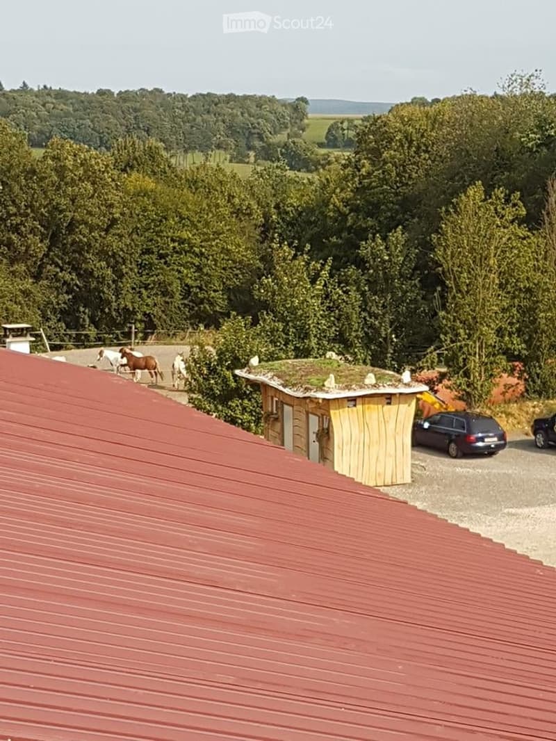 A view from a rooftop showing a small wooden structure with a green roof, surrounded by trees and a few parked cars. Horses graze nearby, and the area is set in a rural landscape with open fields in the background.