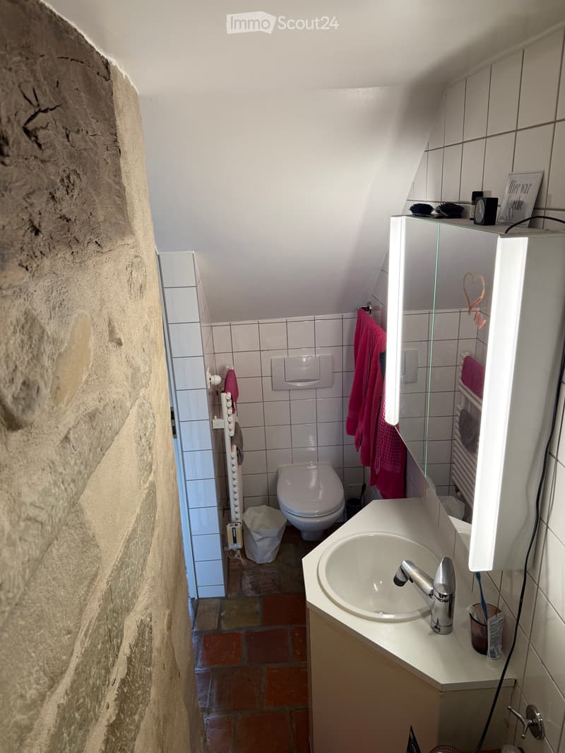 Bathroom with a white sink, chrome faucet, toilet, mirror cabinet, and red towels. The walls are tiled, and the floor is made of brick.