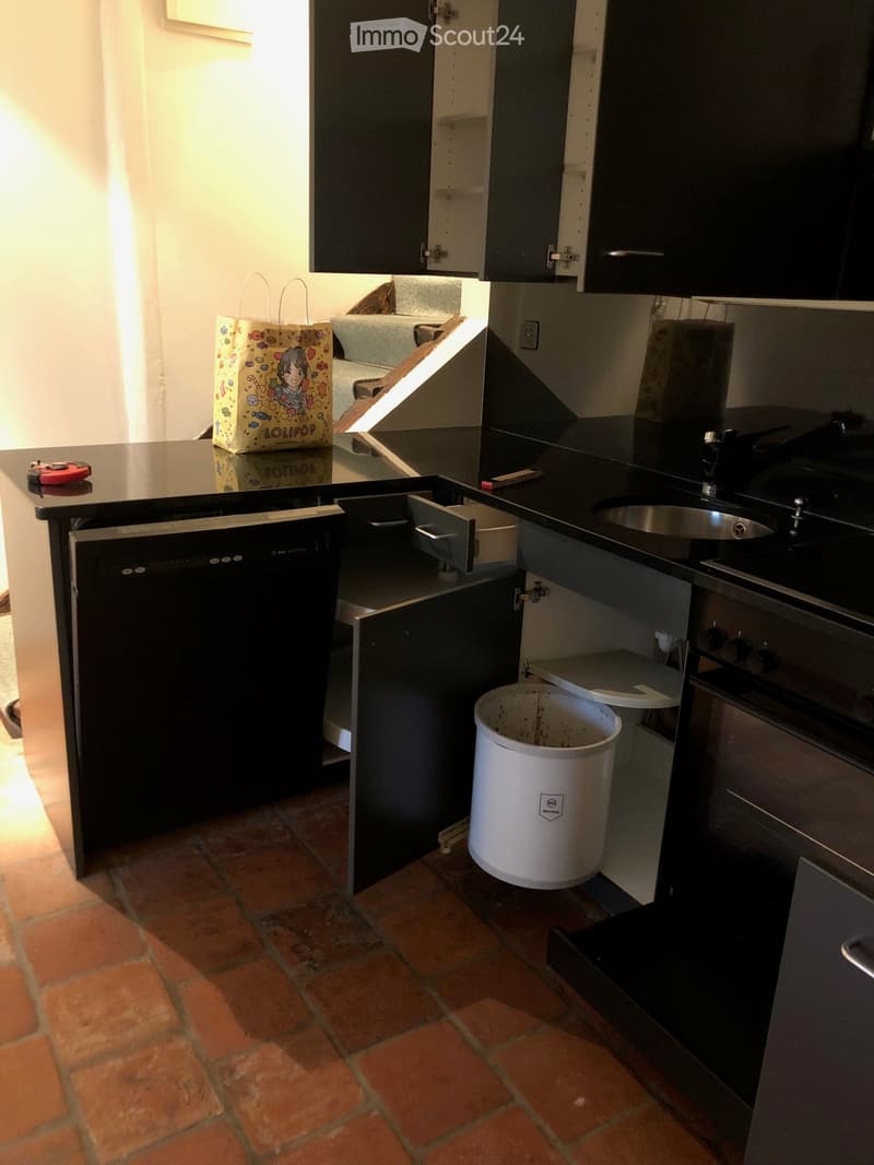 Modern kitchen with dark cabinets, stainless steel sink, dishwasher, and oven. Features a shopping bag on the counter and a trash can on the floor.