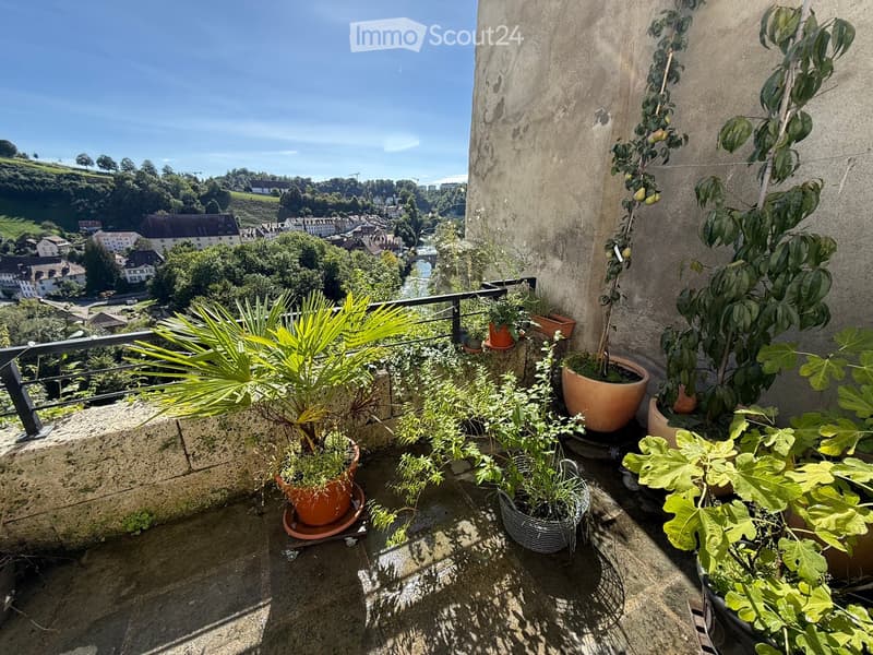Balcony with multiple potted plants, overlooking a town with houses and greenery.