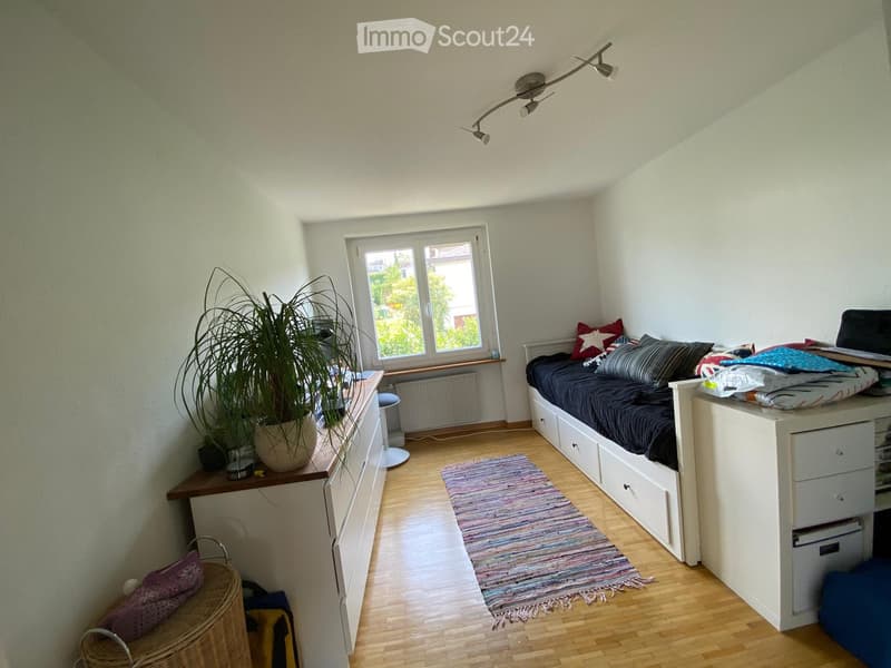 Cozy, compact bedroom with a built-in sofa bed, nightstand, small table, and a potted plant near the window. The room features wooden flooring and a colorful rug.