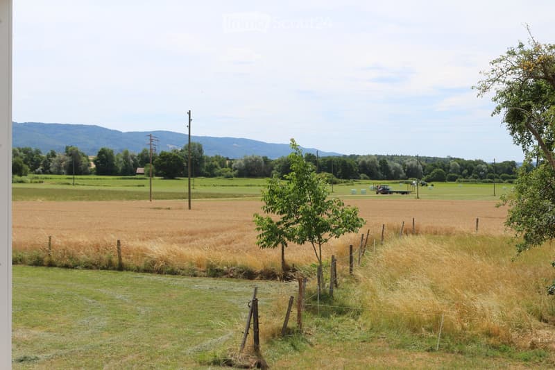 A rural landscape with a field of tall, golden grass, a small tree, a fence, and distant mountains under a partly cloudy sky.