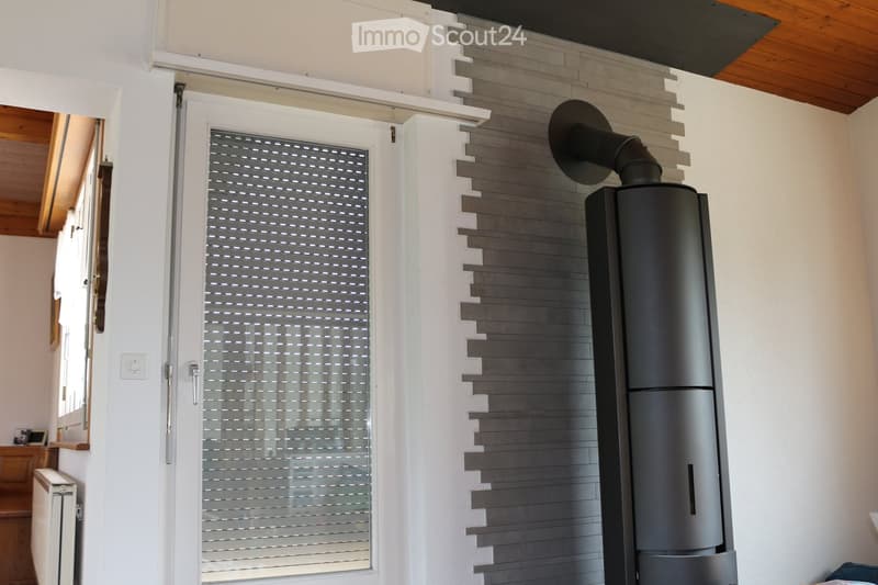 Hallway with a modern wood-burning stove, white walls, and a sliding glass door with a patterned glass panel.