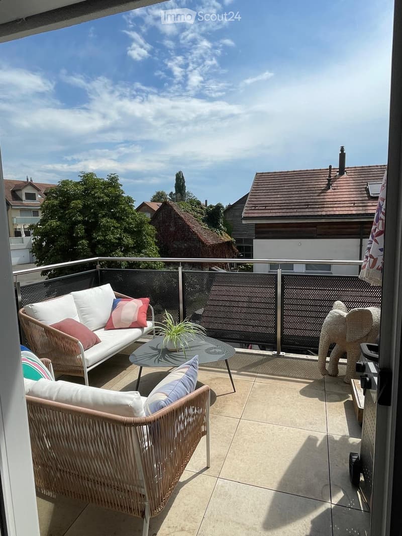 Balcony with a white sofa, two wicker chairs, a glass coffee table with a small plant, and a decorative elephant-shaped stool.