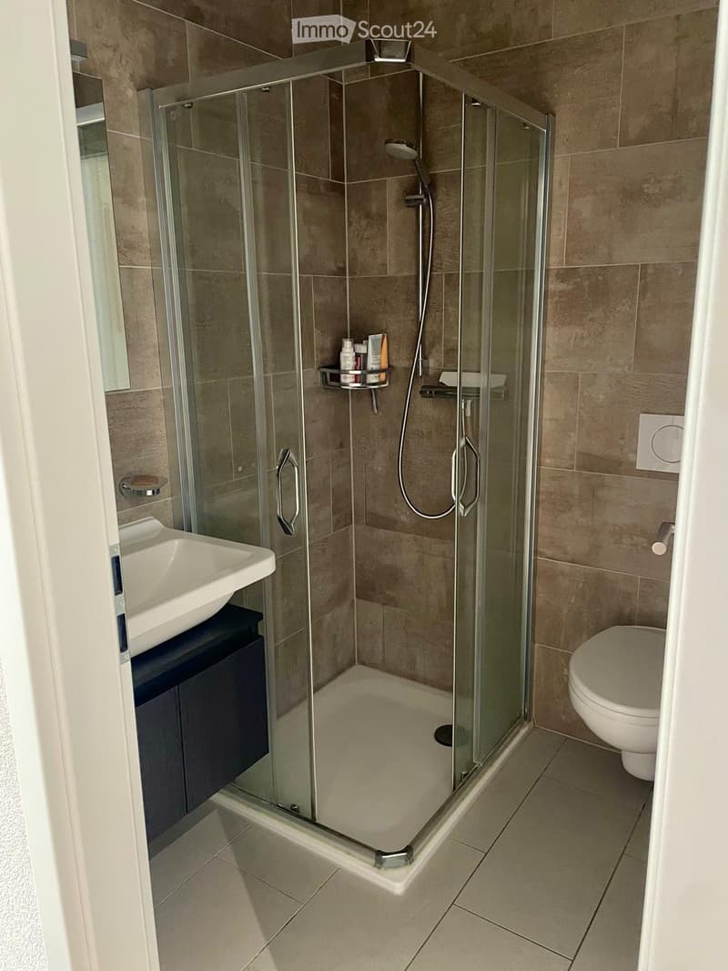 Modern bathroom with a glass-enclosed shower, a sink with a dark cabinet, and a toilet. The shower includes a handheld showerhead and a built-in shelf for toiletries.
