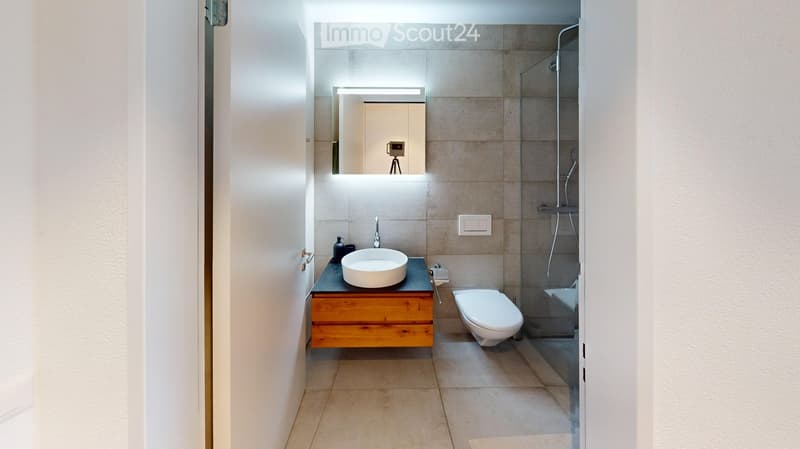 Modern bathroom with a white sink, wooden cabinet, toilet, and glass-enclosed shower. Features a large mirror with built-in lighting and a sleek, contemporary design.