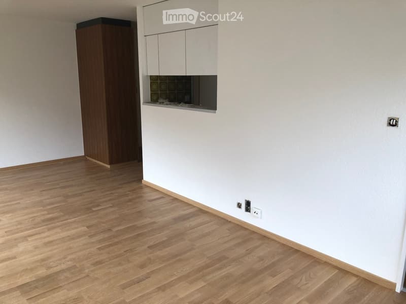Empty room with light wooden flooring and white walls, featuring a small built-in cabinet and a doorway leading to another space.