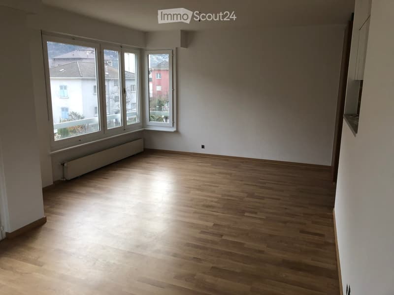 Empty room with wooden flooring, large windows, radiator, and white walls.
