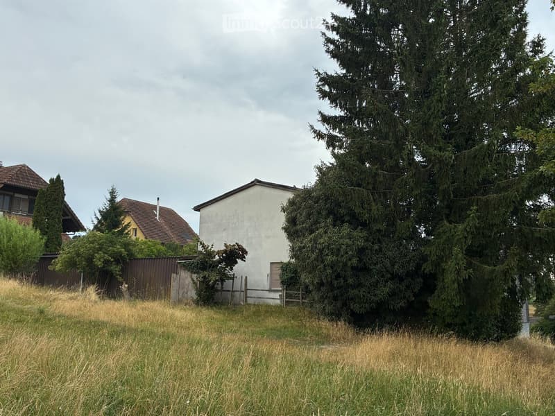 A single-story house with a white exterior and a red-tiled roof, partially obscured by tall evergreen trees and surrounded by a grassy area with a wooden fence.