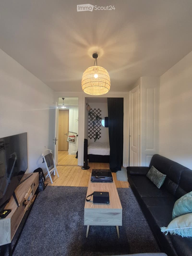 A modern living room with a dark grey sofa, a light wooden coffee table, a hanging woven lamp, a flat-screen TV, and a speaker. The room features wooden flooring, a grey rug, and an open doorway leading to a bedroom.