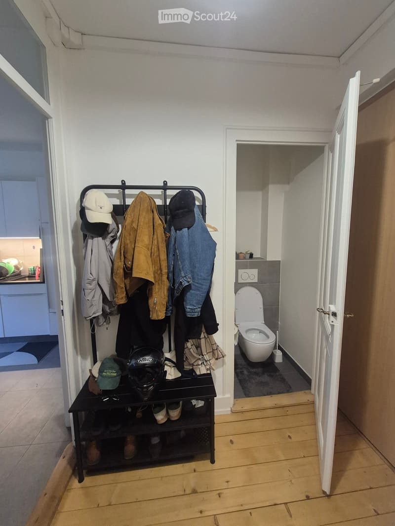 A narrow hallway with wooden flooring, a coat rack holding jackets and hats, a shoe rack below, and an open door leading to a small bathroom with a toilet and a small sink.