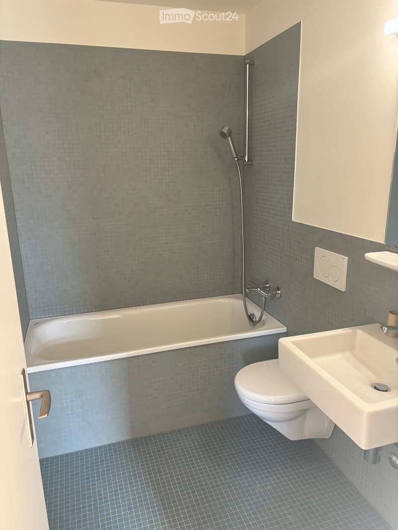 Appartamento di 3 camere a Lindenplatz ad Allschwil (7)