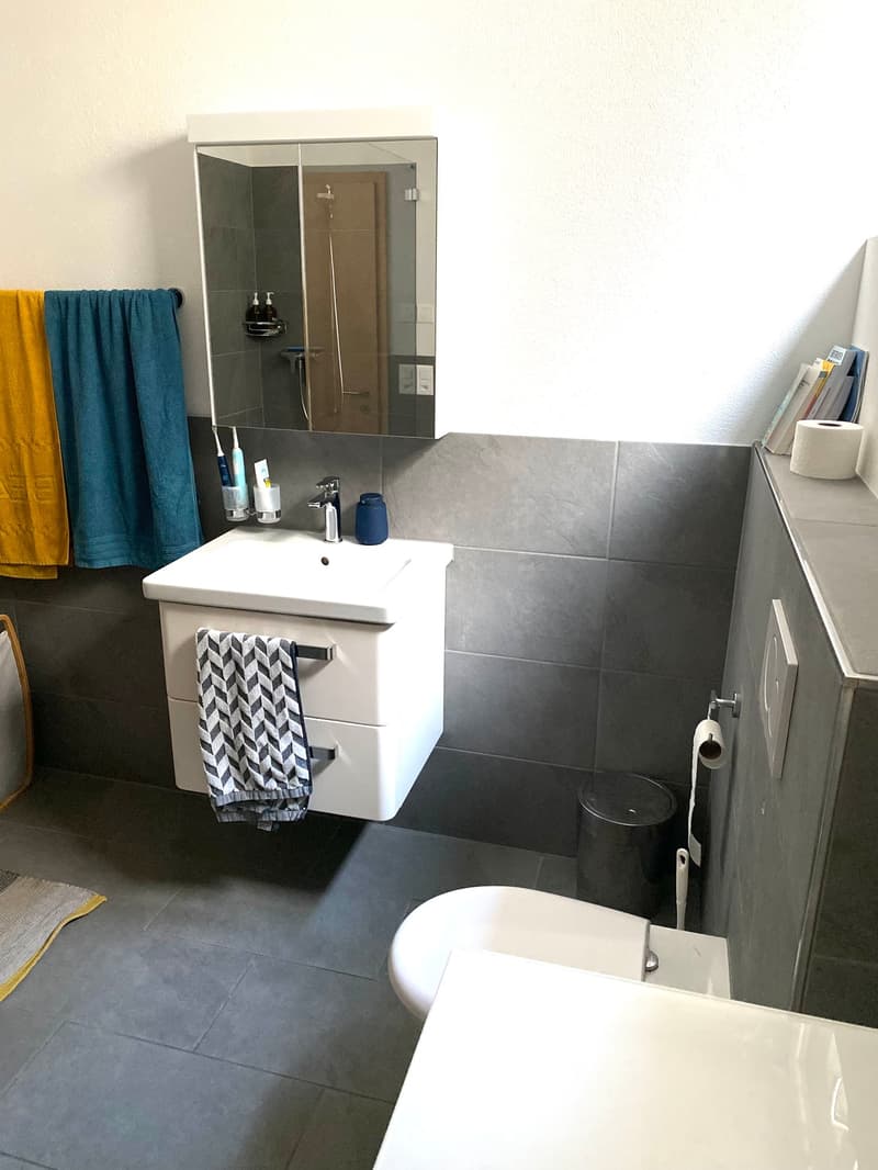 Modern bathroom with a white sink, mirror, towel, toilet, and toiletries on the counter.