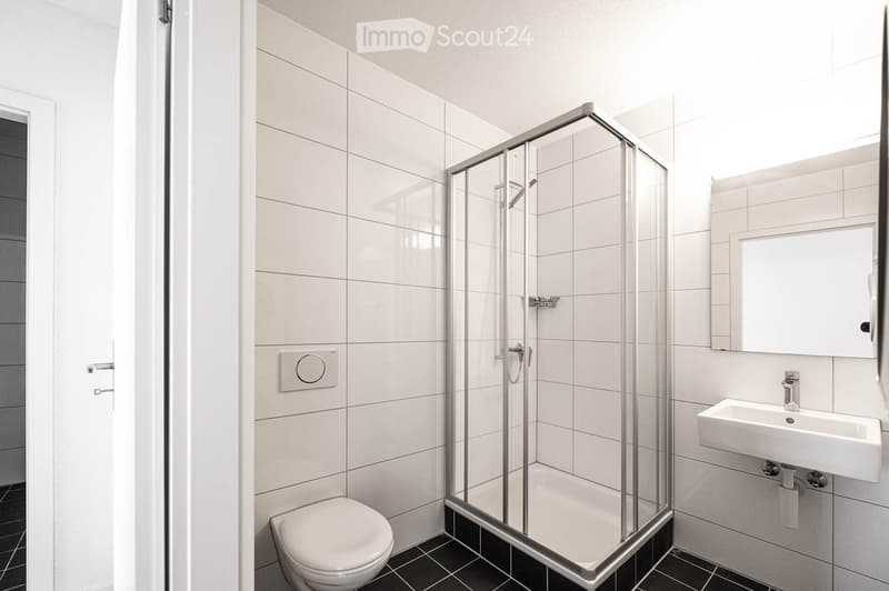 small bathroom with white walls, a white sink, a toilet and a walk-in shower