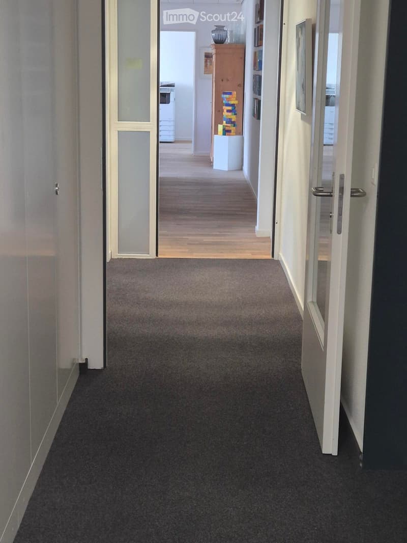 A clean, carpeted hallway with white walls, glass-paneled doors, and a view into an adjacent room with wooden flooring and a small display area.