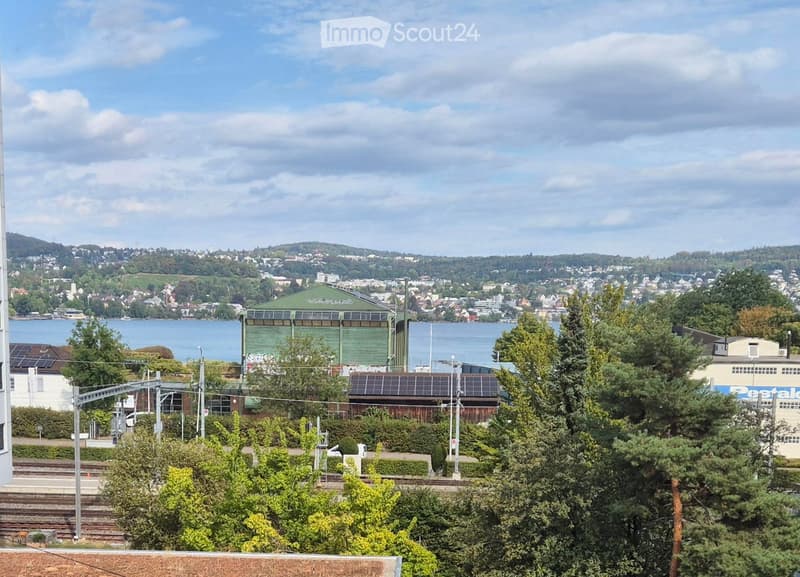 A panoramic view of a cityscape with a body of water in the background, featuring a mix of residential and industrial buildings, trees, and a clear sky.