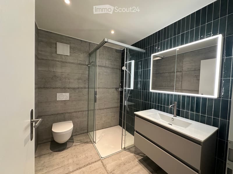 Modern bathroom with dark tiled walls, a glass-enclosed shower, a white toilet, a sink with a modern faucet, and a large illuminated mirror.