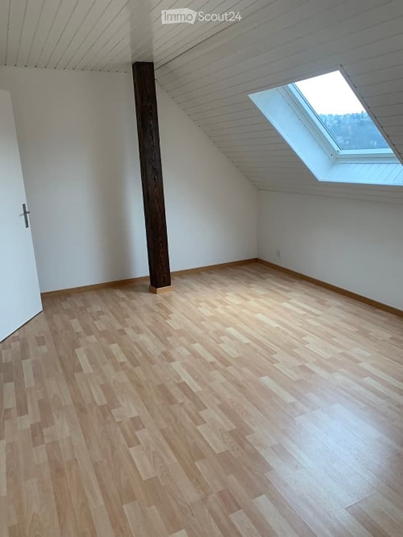 Empty attic room with wooden flooring, white walls, and a skylight window allowing natural light.