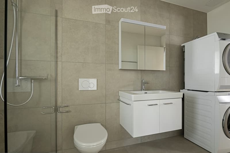 Modern bathroom with a toilet, sink, mirror, and a private washing machine. Features a glass-enclosed shower area with a handheld showerhead.