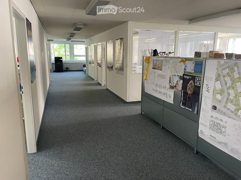 Office corridor with grey carpet, white walls, glass partitions, and posters on display.