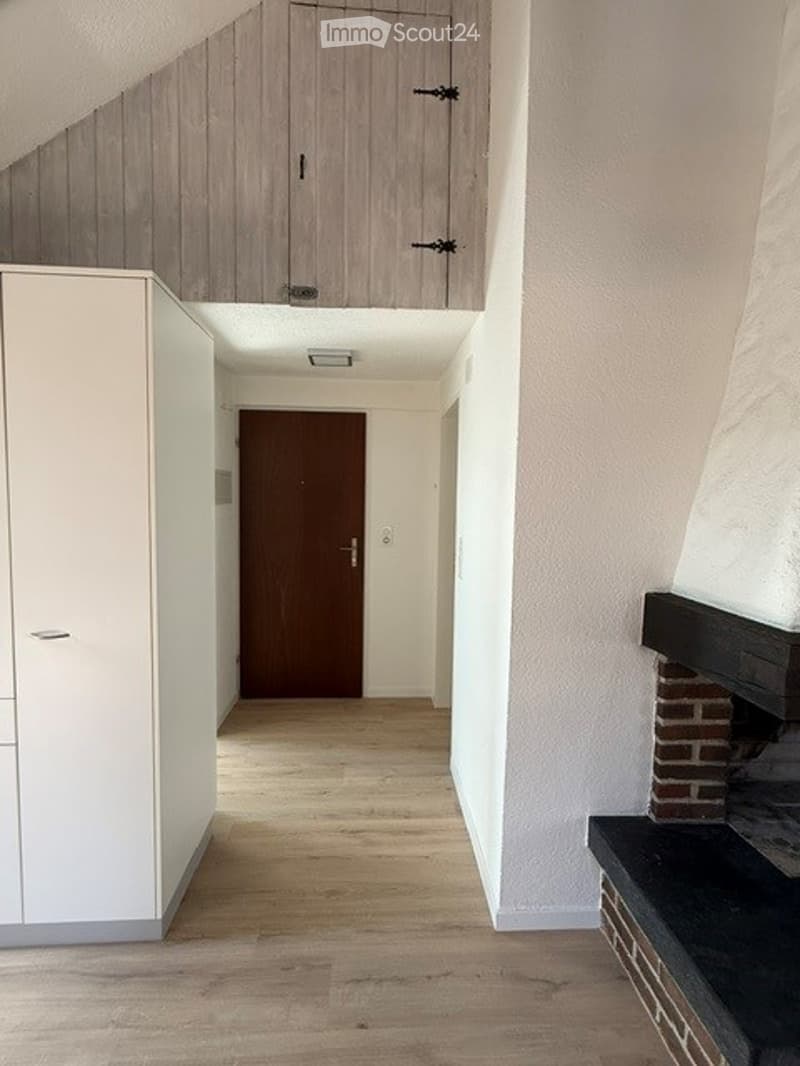 A narrow hallway with wooden flooring, white walls, and a closed wooden door at the end. There is a built-in white cabinet on the left and a fireplace on the right.