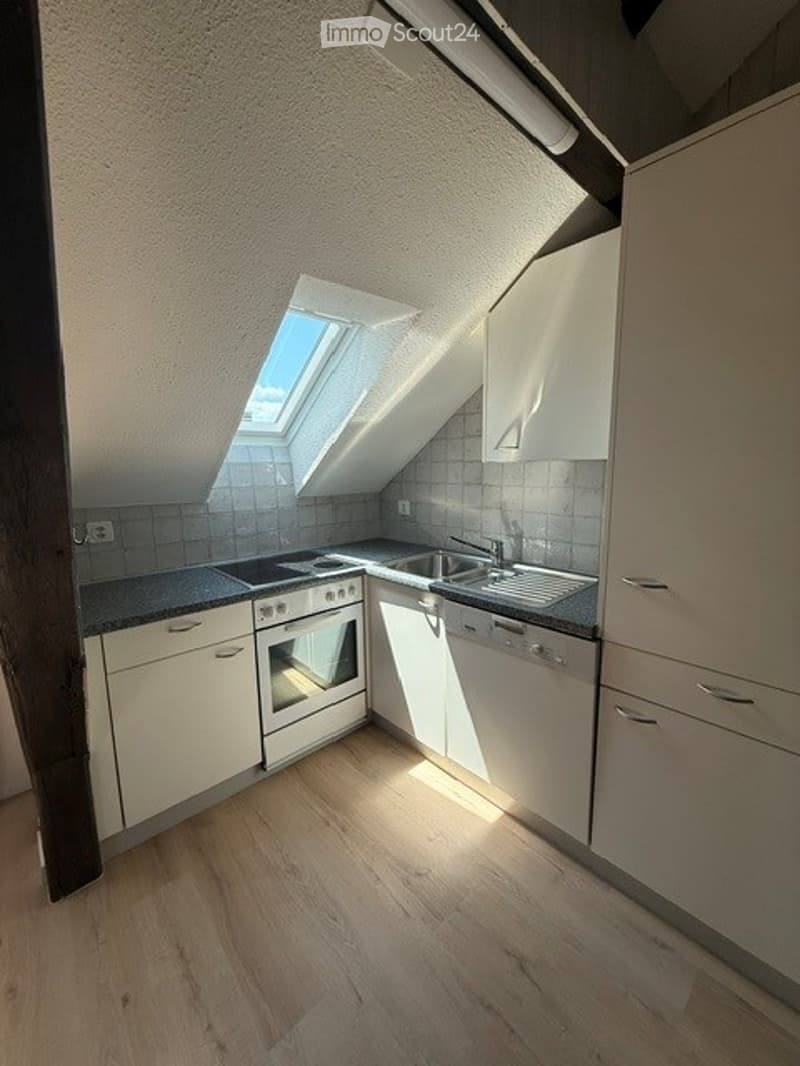 Bright, compact kitchen with white cabinets, a built-in oven, sink, and a skylight window providing natural light.