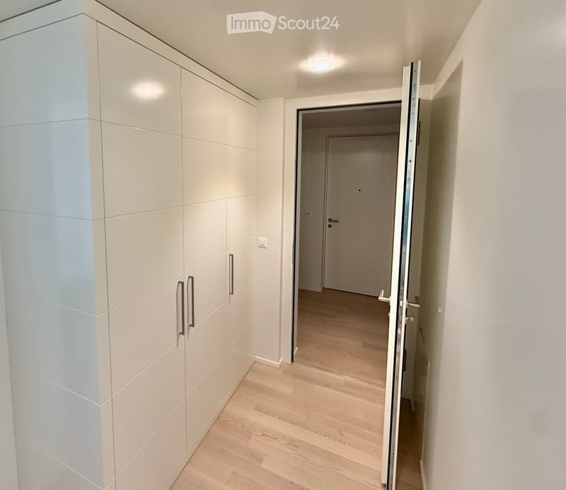 Modern hallway with light wooden flooring, white walls, built-in storage units with silver handles, and an open door leading to another room.