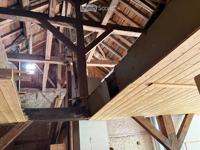 An exposed wooden ceiling with beams and rafters, showing unfinished construction with visible insulation and structural elements.