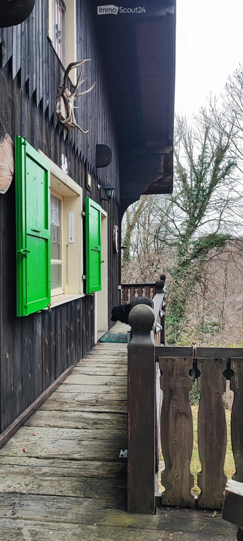 Wooden balcony with dark wooden railing, green shutters, and a mounted deer head on the wall.