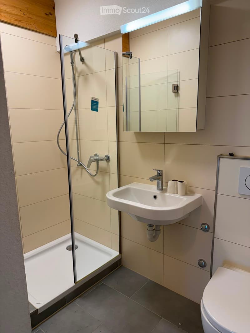 Modern bathroom with a white sink, chrome faucet, toilet, glass-enclosed shower, and a built-in mirror with lighting above.