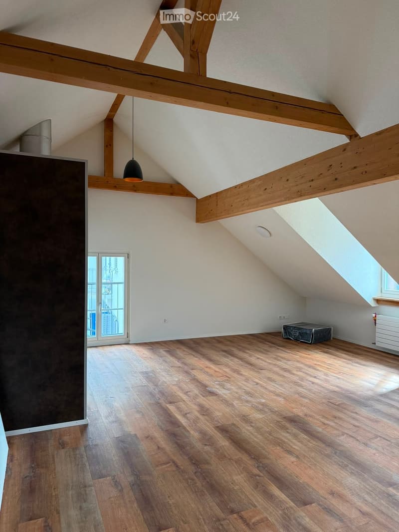 Empty attic space with wooden beams, wooden flooring, and a skylight window. A single light fixture hangs from the ceiling, and a small covered object is placed near the wall.