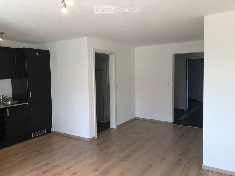 Empty room with wooden flooring, white walls, and black cabinets in the corner. There are two open doorways leading to other spaces.