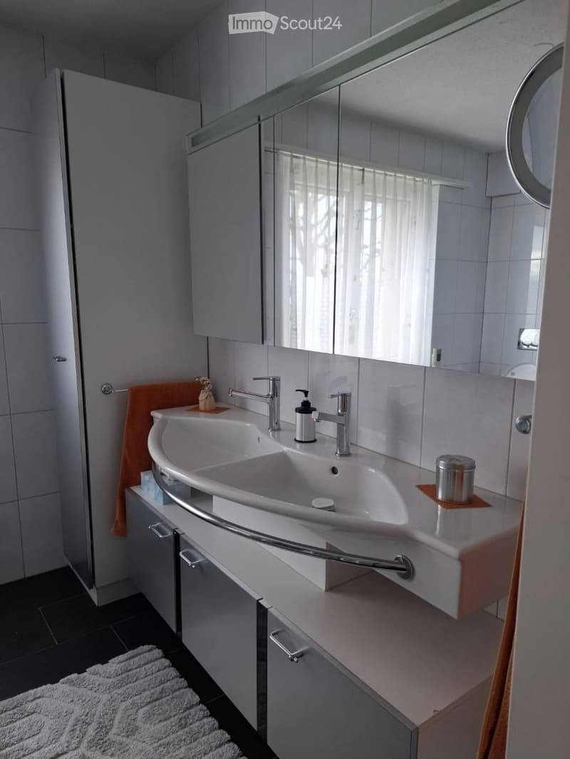 Modern bathroom with a double sink, sleek faucet, large mirror, and built-in cabinets. Features a white towel, soap dispenser, and a small decorative item on the counter.