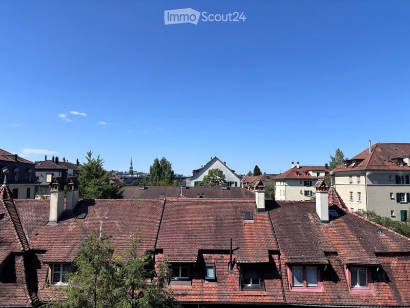 A row of traditional European houses with red-tiled roofs, chimneys, and multiple windows, surrounded by trees and a clear blue sky.