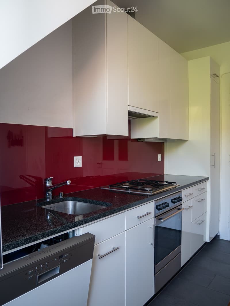 Modern kitchen with white cabinets, granite countertop, stainless steel sink, stove, oven, and dishwasher. Red backsplash accents the space.