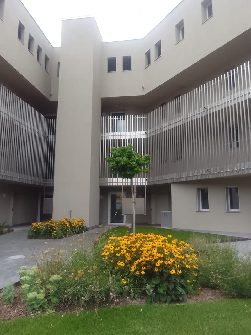 Modern residential building with white walls, multiple windows, and a small garden area with yellow flowers and green shrubs.