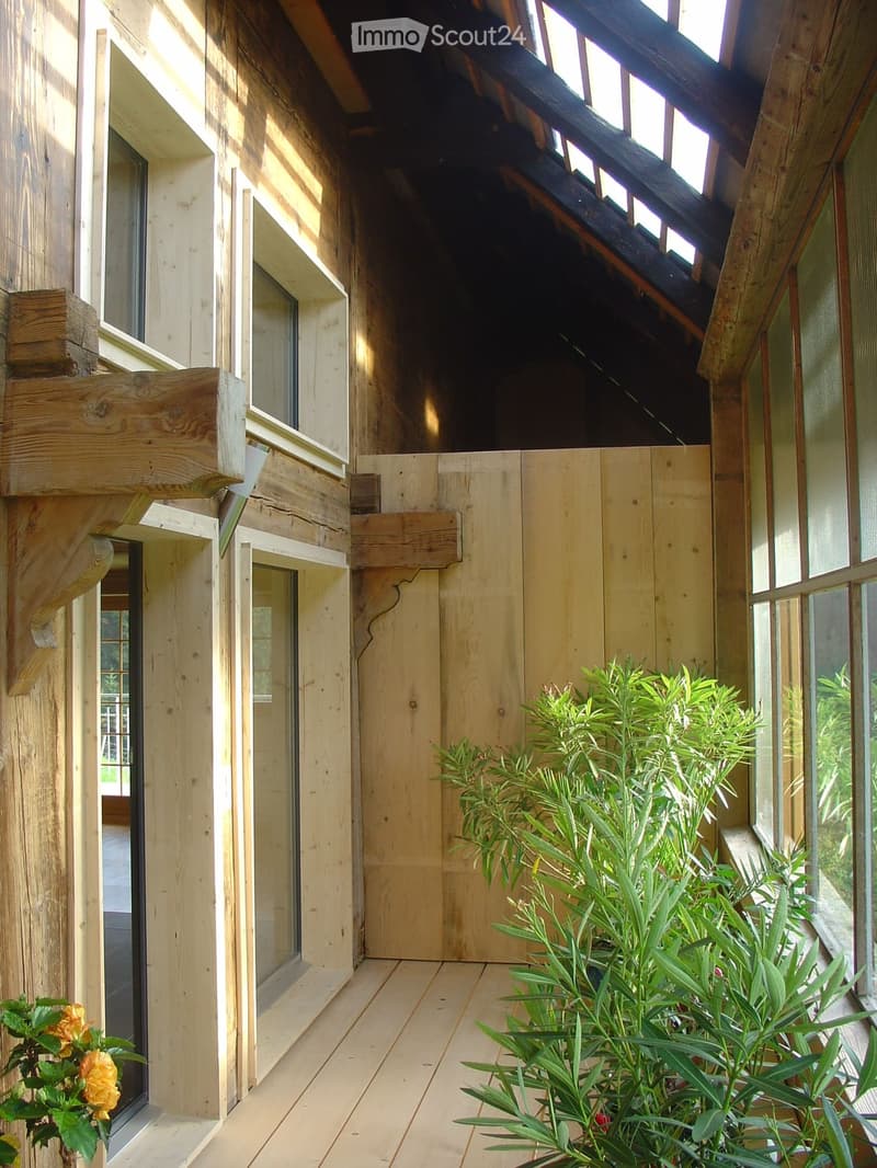 Wooden deck area with large sliding doors, wooden railings, and potted plants, including a yellow flower and green foliage.