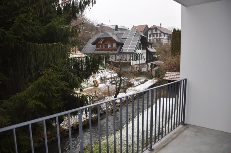 Balcony overlooking a snowy garden area with trees, a small stream, and neighboring houses with solar panels on the roof.